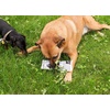 image:imageKikkerland Kobe Fake News Newspaper Print Canvas Squeaker Novelty Dog Toy for Small Medium Large Dogs