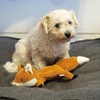 image:imageKikkerland Kobe Flying Fox Interactive Dog Toy  Shake Crinkle and Swoosh