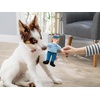 image:imageKikkerland Kobe Wuf USPups FidOs Squeeky Plush Toy USPups
