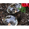 image:imageKikkerland Water from a Stone Hand Blown Glass Automatic SelfWatering Plant Globes Set of 2