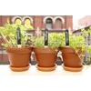 image:imageKikkerland Reusable Garden Markers
