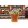 image:imageKikkerland Reusable Garden Markers