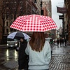 image:imageKikkerland Baguette Umbrella  Compact amp Wind Resistant with Storage Sleeve