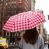 image:imageKikkerland Baguette Umbrella  Compact amp Wind Resistant with Storage Sleeve